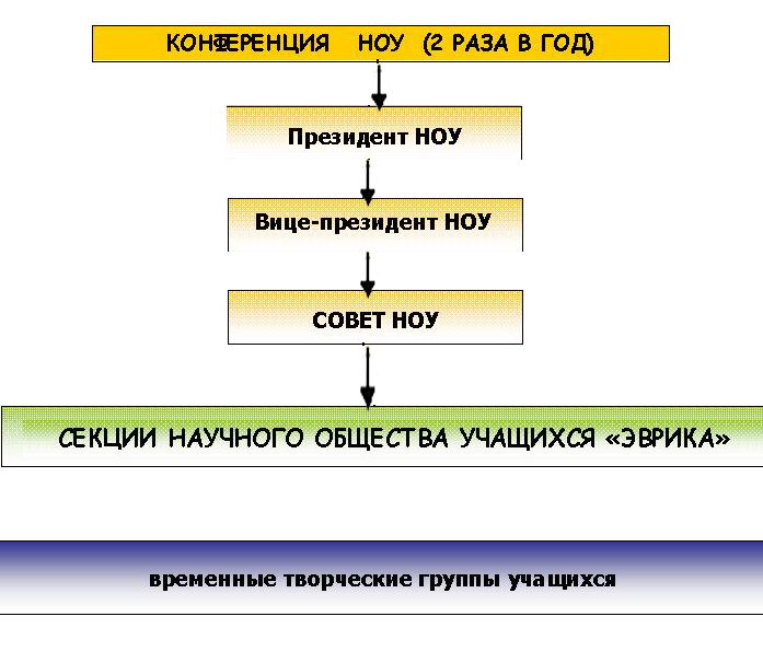 Структура НОУ "Эврика"